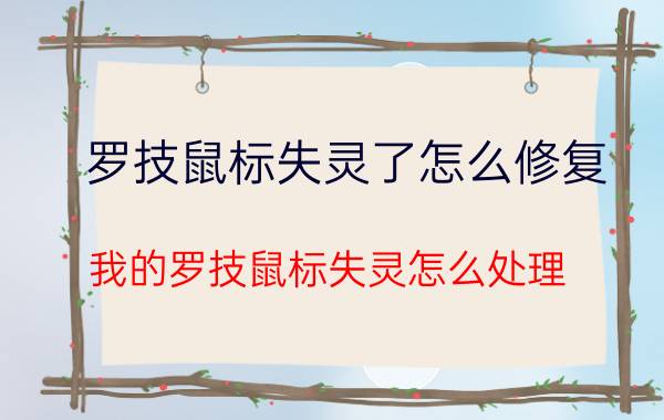 罗技鼠标失灵了怎么修复 我的罗技鼠标失灵怎么处理？